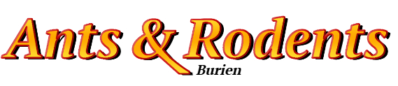 Burien Ant Exterminator & Rodent Control Company Logo